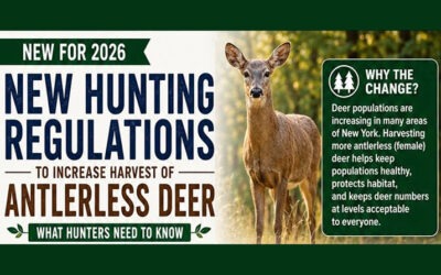 New Hunting Regulations
