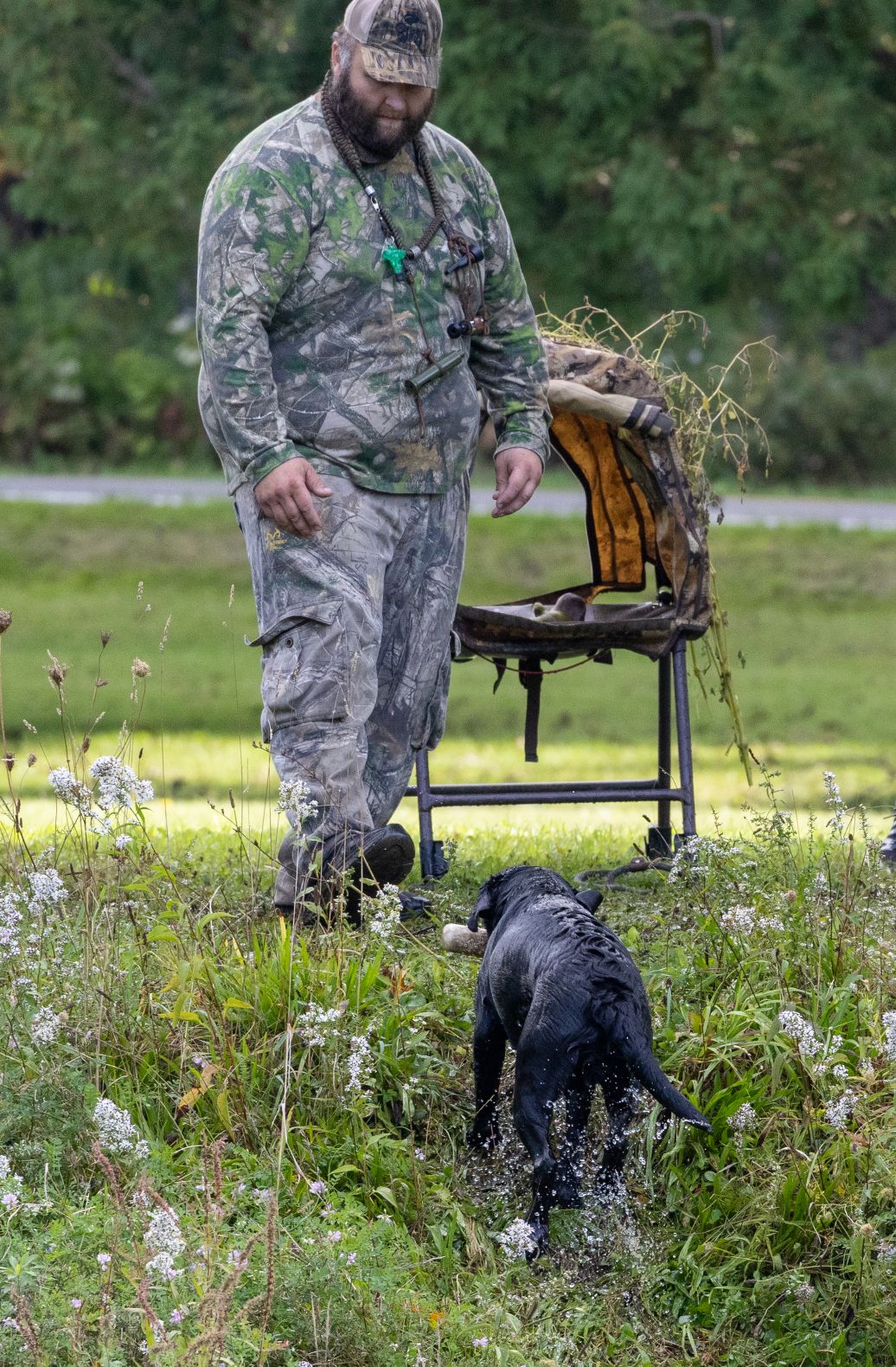 2026Sept26-078 Ducks Unlimited retriever in action.
