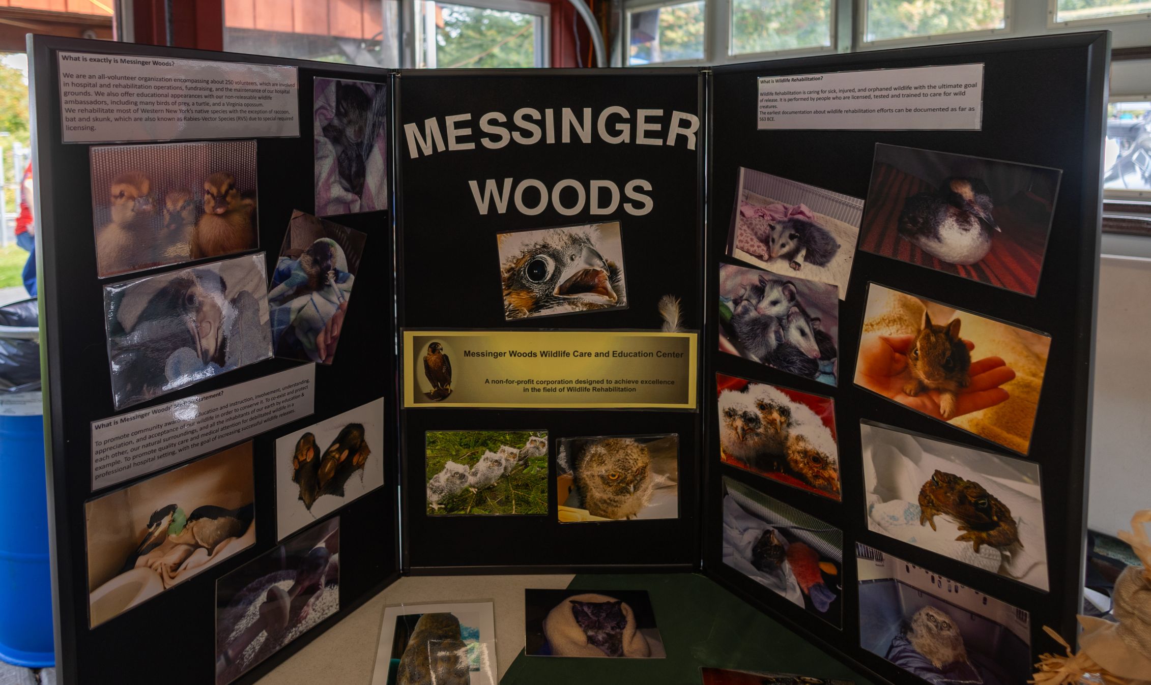 2026Sept26-096 Messinger Woods Wildlife Care Center