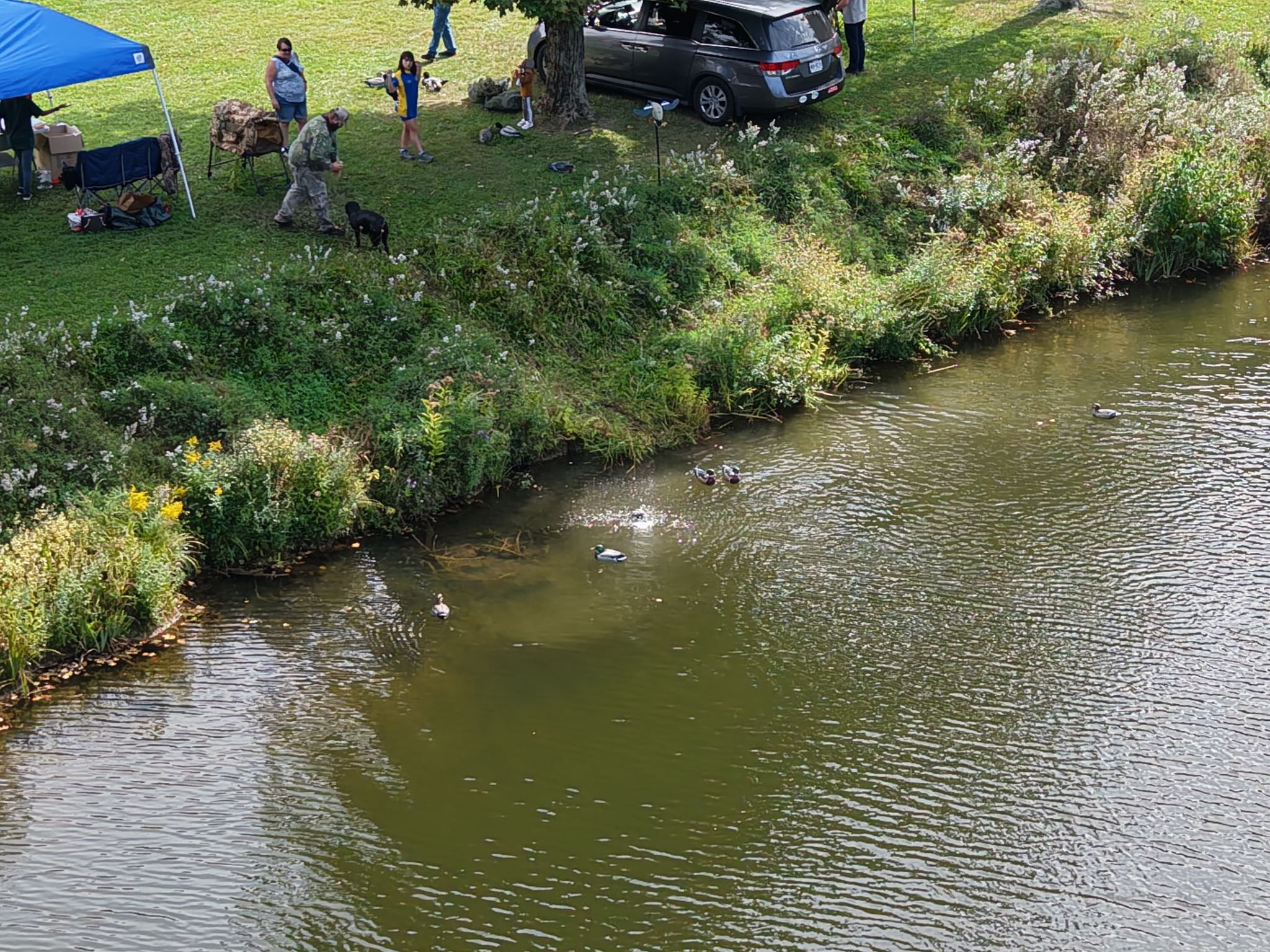 2026Sept26-208 Duck retrieval demonstration.