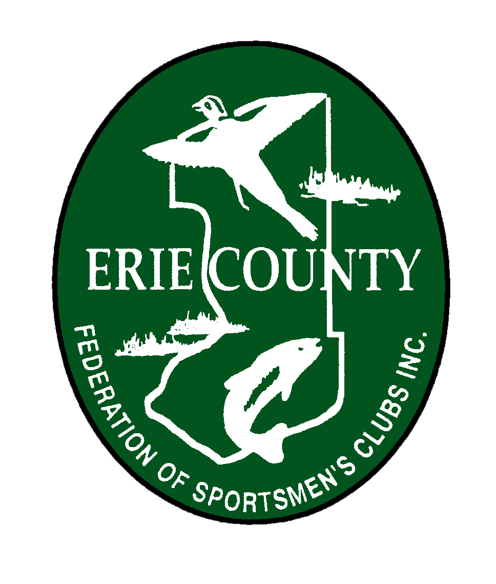 ECFSC Logo